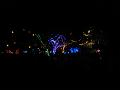 ZooLights 04